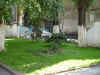 zid.jpg (149205 bytes)